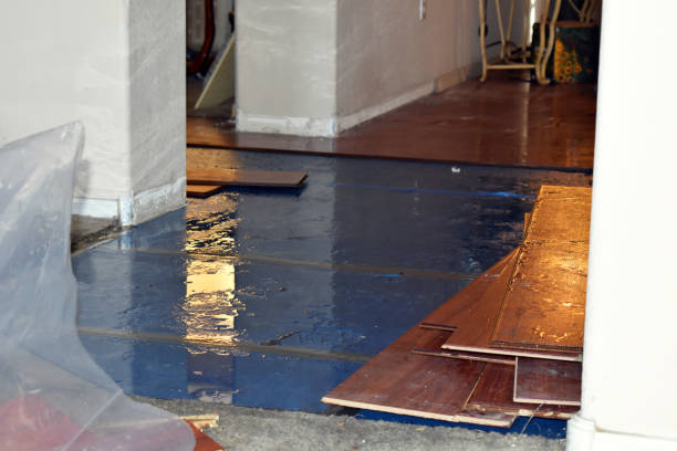 Professional Water Extraction technician working in Lake, MI